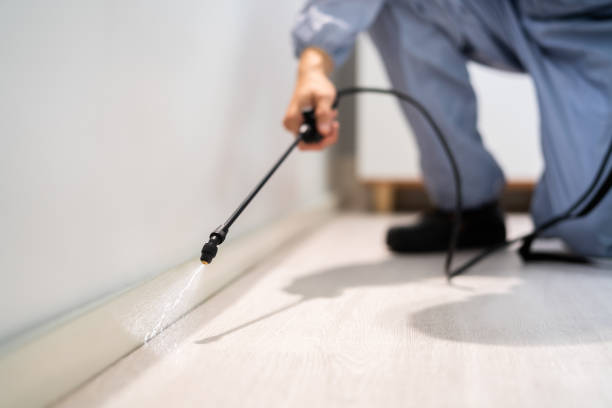 Bed Bug Pre-Treatment Preparation Assessment in Alliance