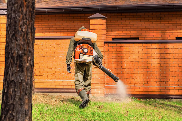 Bed Bug Clearance Verification and Documentation in Alliance